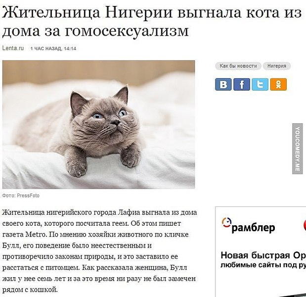 667 X 646  82.2 Kb Улыбнемся?