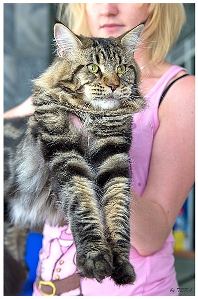 598 X 903 157.6 Kb 1536 X 2048 274.9 Kb  -