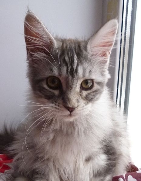 1051 X 1354 762.1 Kb 1330 X 2045 179.1 Kb  -