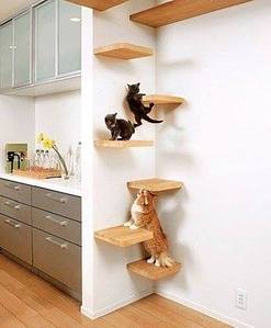 400 X 484 21.7 Kb 261 x 177 360 X 480 26.0 Kb     