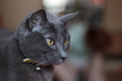 1024 X 683 246.2 Kb :   