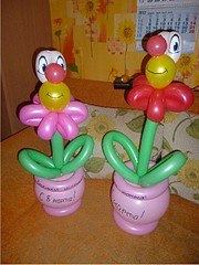 495 X 659 87.3 Kb      !     80 !