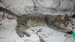 1920 X 1079 507.8 Kb     