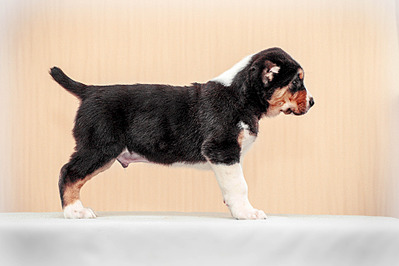 1920 X 1279 687.4 Kb 1920 X 1279 647.1 Kb 1920 X 1408 632.1 Kb  -    