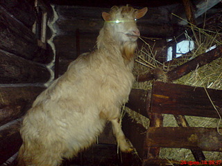 1632 X 1224 512.2 Kb   