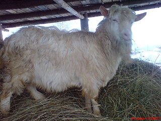 1632 X 1224 422.8 Kb   