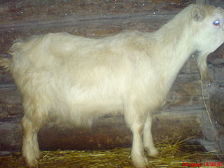 1632 X 1224 574.4 Kb   