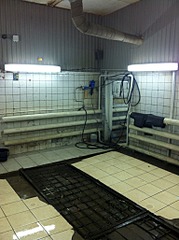 1536 X 2056 868.4 Kb  !   