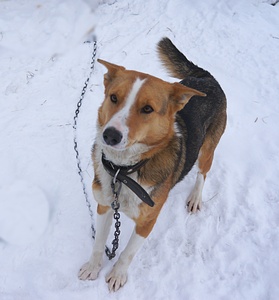 1920 X 2063 678.5 Kb    ...   )