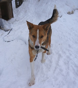 1920 X 2162 691.4 Kb 1920 X 2063 678.5 Kb    ...   )