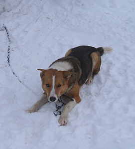 1229 X 1359 298.9 Kb 1920 X 2162 691.4 Kb 1920 X 2063 678.5 Kb    ...   )