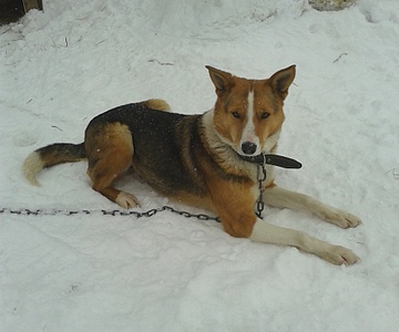 1920 X 1600 684.6 Kb    ...   )