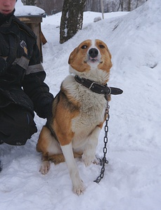 1669 X 2184 722.9 Kb 1920 X 1600 684.6 Kb    ...   )