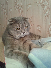 1920 X 2560 229.2 Kb     