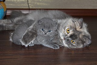 1280 X 853 167.0 Kb    - 