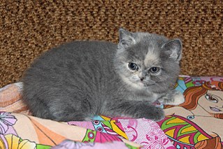 1280 X 853 254.3 Kb 1280 X 853 225.2 Kb 1280 X 853 278.5 Kb 1280 X 853 167.0 Kb    - 