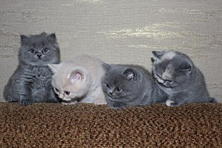 1280 X 853 261.9 Kb 1280 X 853 254.3 Kb 1280 X 853 225.2 Kb 1280 X 853 278.5 Kb 1280 X 853 167.0 Kb    - 