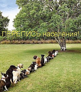 529 X 604 151.9 Kb 604 X 383  71.9 Kb Улыбнемся?