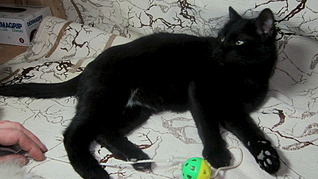 318 x 179 318 x 179 .     .