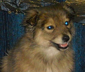 660 X 563 217.5 Kb 2  