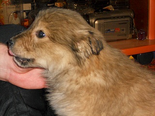 1000 X 750 300.8 Kb 501 X 559 195.3 Kb 843 X 737 285.4 Kb 660 X 563 217.5 Kb 2  