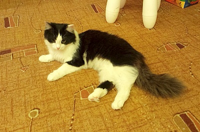 1920 X 1268 834.3 Kb     