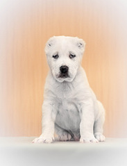 1920 X 2506 322.7 Kb 1920 X 1280 521.9 Kb  -    