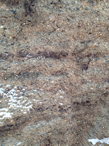 1536 X 2048 421.3 Kb    !