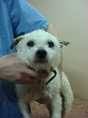 1920 X 2560 172.4 Kb     .