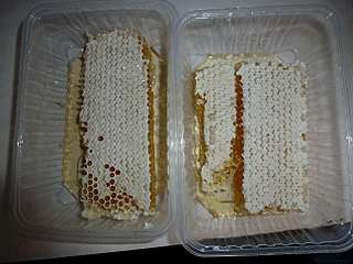 1296 X 972 105.8 Kb 1296 X 972  70.7 Kb 1296 X 972  91.2 Kb 1296 X 972  68.7 Kb 1296 X 972 103.8 Kb  