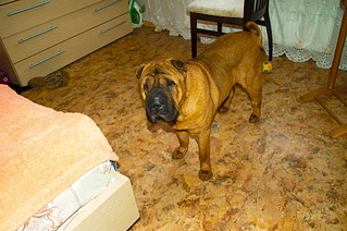 1920 X 1276 837.8 Kb 1920 X 1276 598.1 Kb 1920 X 1276 721.0 Kb 1920 X 1276 703.8 Kb    