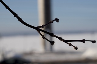 1920 X 1275 272.4 Kb   42 -61/3-