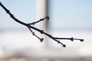 1920 X 1275 214.7 Kb 1920 X 1275 272.4 Kb   42 -61/3-