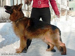 640 X 480 218.2 Kb    ?