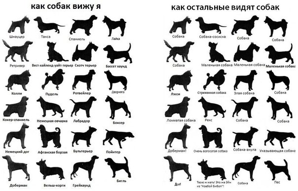 604 x 387 Улыбнемся?