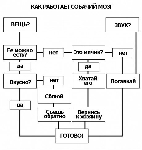 460 x 485 Улыбнемся?