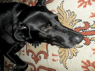 1920 X 1440 742.5 Kb 1920 X 1440 747.9 Kb 1920 X 1440 768.1 Kb  ()