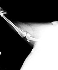 1920 X 2336 169.2 Kb     