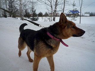 1920 X 1440 642.8 Kb  .   ,  