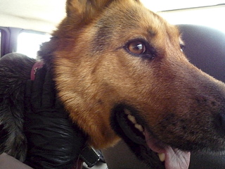 1920 X 1440 991.1 Kb  .   ,  