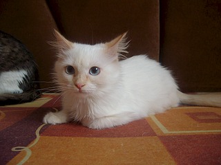 1920 X 1440 454.9 Kb ������� ����������� ������� ������ ���-����� ���� �����!