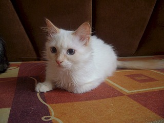 1920 X 1440 506.0 Kb 1920 X 1440 454.9 Kb ������� ����������� ������� ������ ���-����� ���� �����!