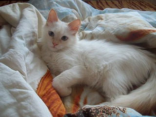 1920 X 1440 577.2 Kb 1920 X 1440 506.0 Kb 1920 X 1440 454.9 Kb ������� ����������� ������� ������ ���-����� ���� �����!