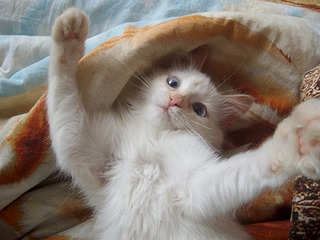 1920 X 1440 481.5 Kb 1920 X 1440 577.2 Kb 1920 X 1440 506.0 Kb 1920 X 1440 454.9 Kb ������� ����������� ������� ������ ���-����� ���� �����!