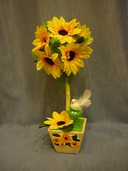 480 X 640 71.1 Kb      !     80 !