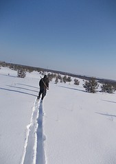 1240 X 1753 289.2 Kb 1753 X 1240 310.7 Kb 1753 X 1240 380.6 Kb Выезд на охоту форумом.