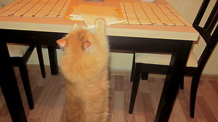 1920 X 1079 439.8 Kb  