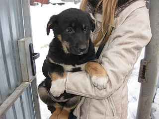 1920 X 1440 763.6 Kb     