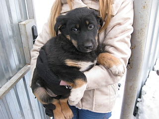 1920 X 1440 773.0 Kb     