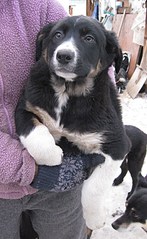 1920 X 3124 608.4 Kb     